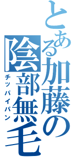 とある加藤の陰部無毛（チッパイパン）