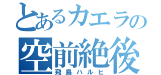 とあるカエラの空前絶後（飛鳥ハルヒ）