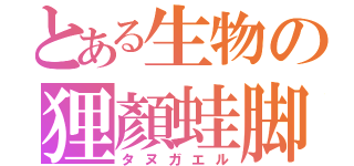 とある生物の狸顏蛙脚（タヌガエル）