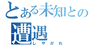 とある未知との遭遇（しやがれ）