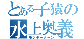 とある子猿の水上奥義（モンチーターン）
