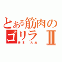 とある筋肉のゴリラⅡ（青木 大地）