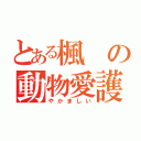 とある楓の動物愛護（やかましい）