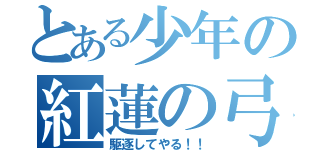 とある少年の紅蓮の弓矢（駆逐してやる！！）