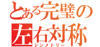 とある完璧の左右対称（シンメトリー）