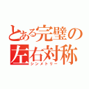 とある完璧の左右対称（シンメトリー）