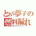 とある夢子の燃料漏れ（ガソリンリケージ）