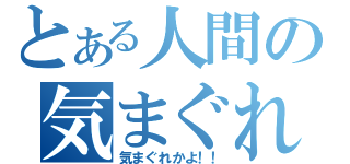 とある人間の気まぐれ（気まぐれかよ！！）