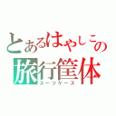 とあるはやしこの旅行筐体（スーツケース）