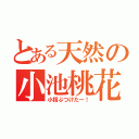 とある天然の小池桃花（小指ぶつけたー！）