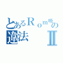 とあるＲｏｍ吸い出しの違法Ⅱ（）