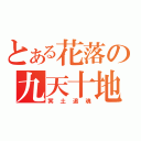 とある花落の九天十地（冥土追魂）