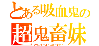 とある吸血鬼の超鬼畜妹（フランドール・スカーレット）