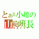 とある小趙の山砲班長（馬鹿女銀）