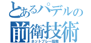 とあるパデルの前衛技術（ネットプレー指南）