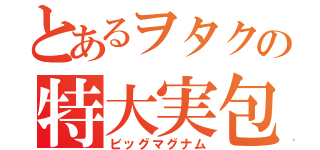 とあるヲタクの特大実包（ビッグマグナム）