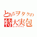 とあるヲタクの特大実包（ビッグマグナム）