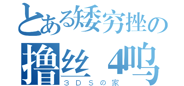 とある矮穷挫の撸丝４呜（３ＤＳの家）