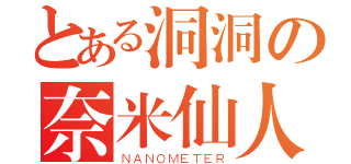 とある洞洞の奈米仙人（ＮＡＮＯＭＥＴＥＲ）