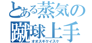 とある蒸気の蹴球上手（オオスギケイスケ）