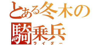 とある冬木の騎乗兵（ライダー）