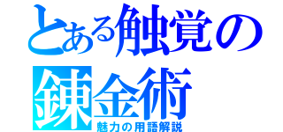 とある触覚の錬金術（魅力の用語解説）