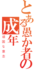 とある愚か者の成年（頑固な意志）