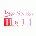 とあるＳＮＳのＨｅ１１１（蓬莱人）