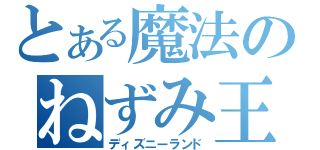 とある魔法のねずみ王国（ディズニーランド）