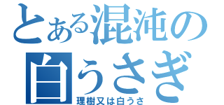 とある混沌の白うさぎ（理樹又は白うさ）