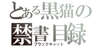 とある黒猫の禁書目録（ブラックキャット）