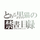 とある黒猫の禁書目録（ブラックキャット）