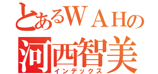 とあるＷＡＨの河西智美（インデックス）