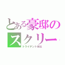 とある豪邸のスクリーン（トライデント本社）