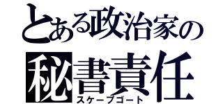 とある政治家の秘書責任（スケープゴート）