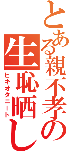 とある親不孝の生恥晒しⅡ（ヒキオタニート）