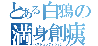 とある白鴉の満身創痍（ベストコンディション）