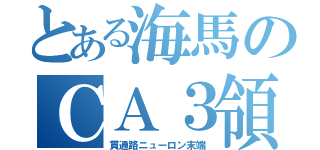 とある海馬のＣＡ３領域（貫通路ニューロン末端）