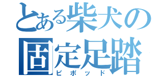 とある柴犬の固定足踏（ピポッド）