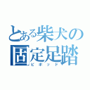 とある柴犬の固定足踏（ピポッド）