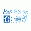 とあるＳＮＳの食い過ぎ（さかもと）