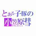 とある子豚の小笠原彗（サギヒガイシャ）