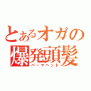 とあるオガの爆発頭髪（パーマヘッド）