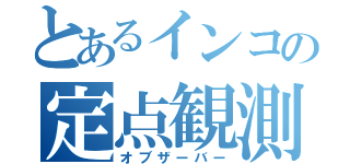 とあるインコの定点観測（オブザーバー）