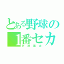 とある野球の１番セカンド（戸澤颯太）