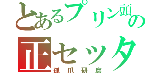 とあるプリン頭のの正セッター（孤爪研磨）