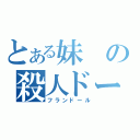 とある妹の殺人ドール（フランドール）