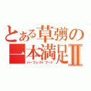 とある草彅の一本満足Ⅱ（パーフェクトフード）