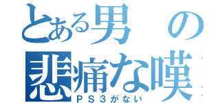 とある男の悲痛な嘆き（ＰＳ３がない）