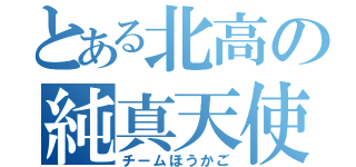 とある北高の純真天使（チームほうかご）